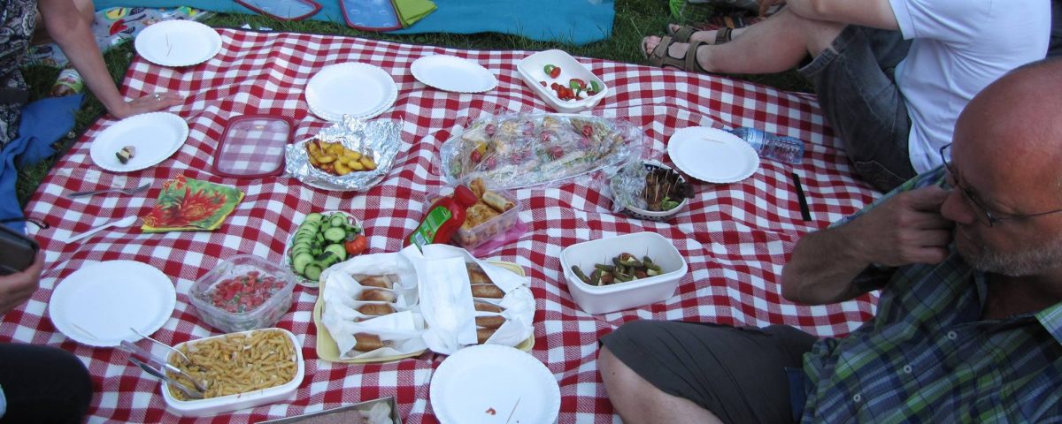 Tandem-Picknick 2017